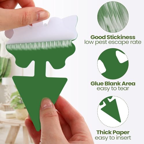 50 Sheets Fruit Fly Sticky Traps for Fruit Fly Gnat Trap for House Indoors Sticky Traps Catcher for Gnats Fungus Gnats Mosquito Catcher for Kitchen Outdoor Plants (Green / Classic Style)