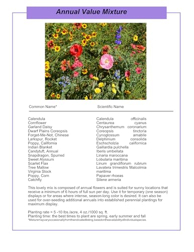 Wildflower Seed Shaker (16 Ounce)