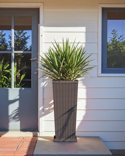 Set of 2 Tall Plastic Planters with Saucer