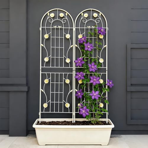 2 Pack Metal Garden Trellis for Climbing Plants 71" H Cream White Garden Fence Rustproof Trellis Support Roses Flower Outdoor Lawn (2 Count)