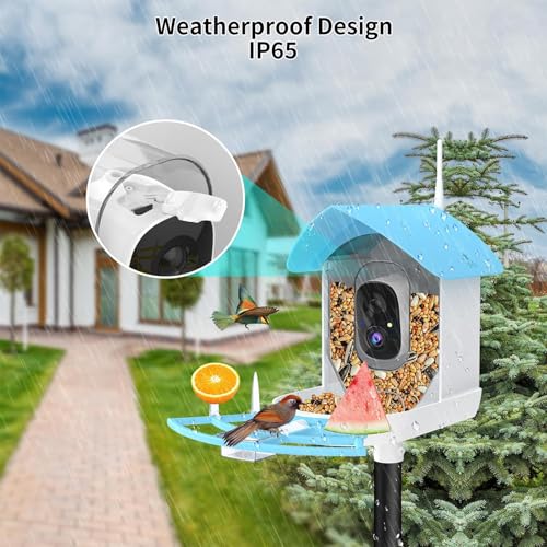 Bird Feeder with Camera