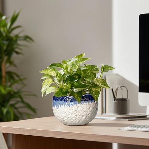 Ceramic Plant Pots (6.2 Inch / Beige-blue)
