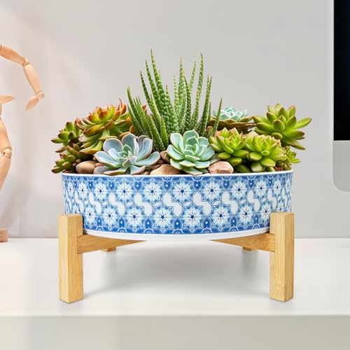 Succulent Pots (Floral 2)