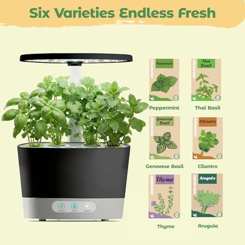 Herb Seed Pod Kit for AeroGarden