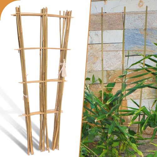 10 Pack 3ft Bamboo Trellis for Climbing Plants (10 Count)