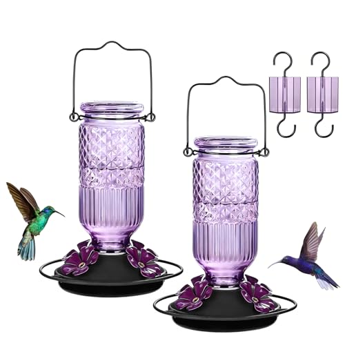 Glass Hummingbird Feeder for Outdoors Hanging (Purple)