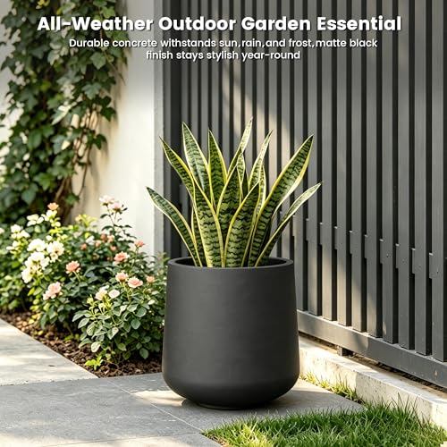 Accent Round Curved Black Concrete Planter 13" Dia
