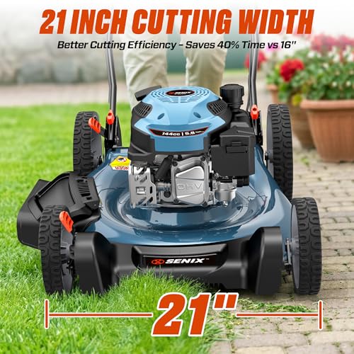 21 Inch Gas Push Lawn Mower (21Inch)