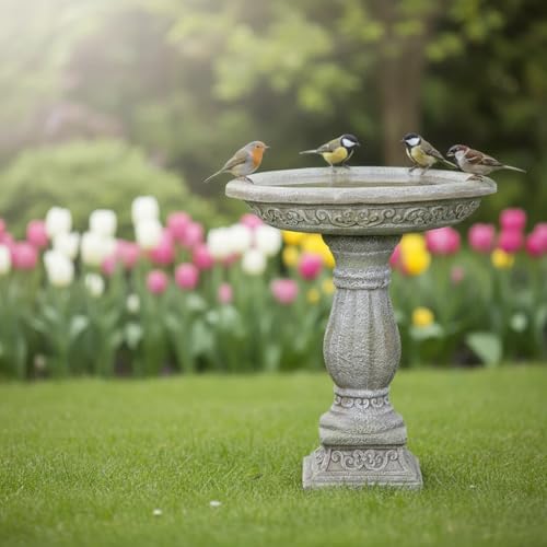 23.8 Inch High Concrete Bird Bath with Carved Pedestal