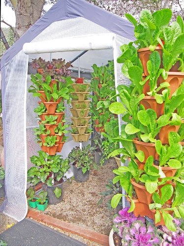 Vertical Gardening Planters