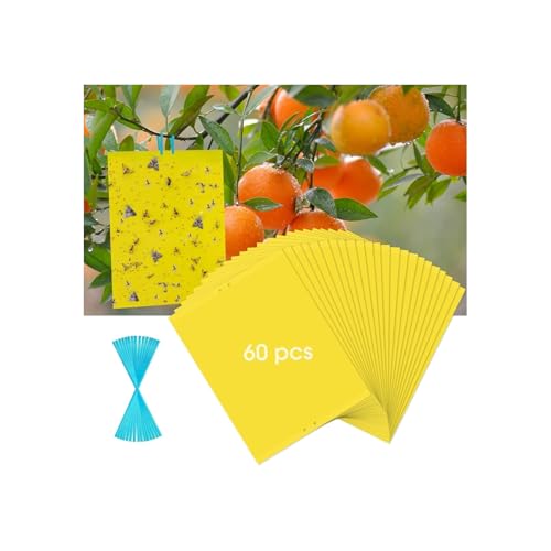 60 Pack Yellow Sticky Traps for Gnats (60Packs)