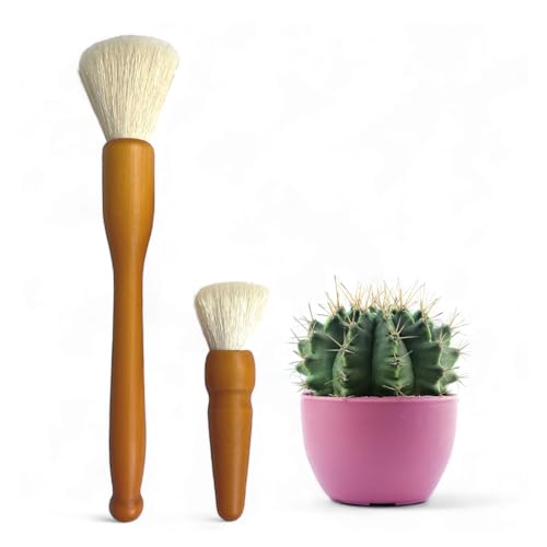 Southside Plant Cactus & Succulent Plants Cleaning Brushes
