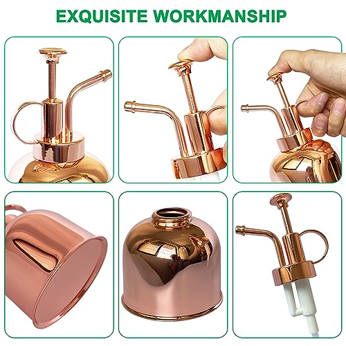 Plant Mister Spray Bottle Stainless Steel Plant Sprayer