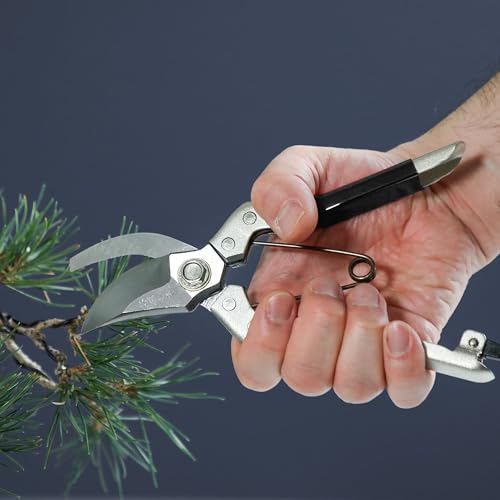 Bypass Pruner