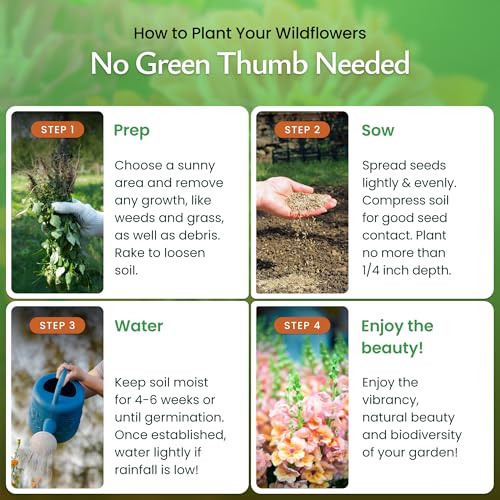 Hummingbird & Butterfly Wildflower Seed Mix (60000 Count)