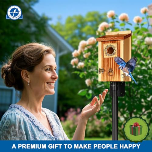 2 Pack Premium Bird House