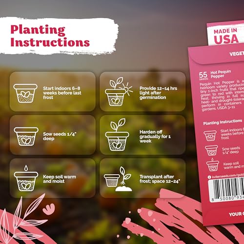 55 Hot Pequin Pepper Heirloom Vegetable Seeds for Planting