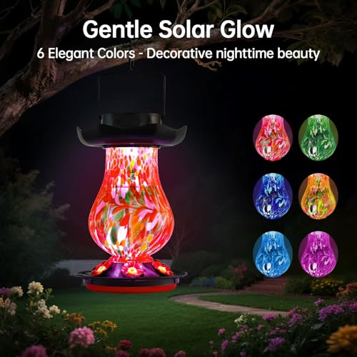 Solar Hummingbird Feeder for Outdoor