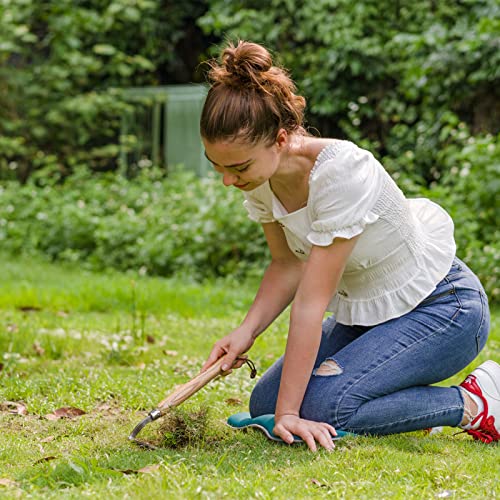 Garden Hand Hoe