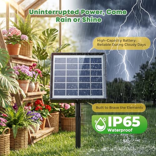 Solar Drip Irrigation System