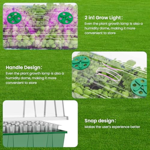 2 Pack Seed Starter Tray with Grow Light (2 Count)