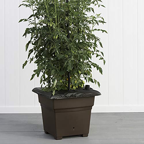 81703.01 Root & Veg Garden Kit