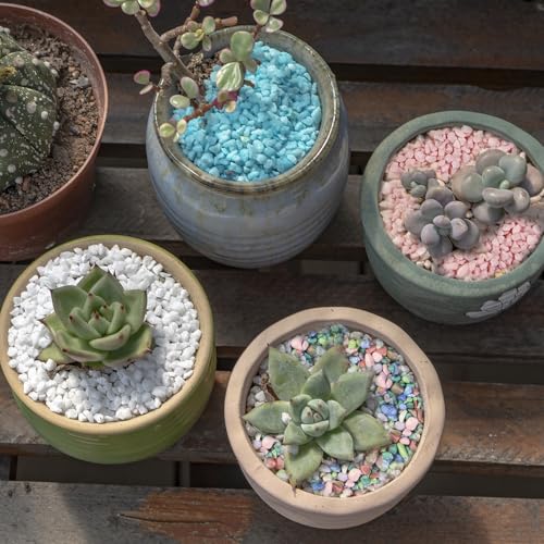 0.88 LB Colored Pea Gravel