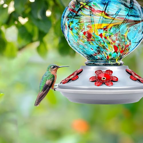 Hummingbird Feeders for Outdoors Hanging