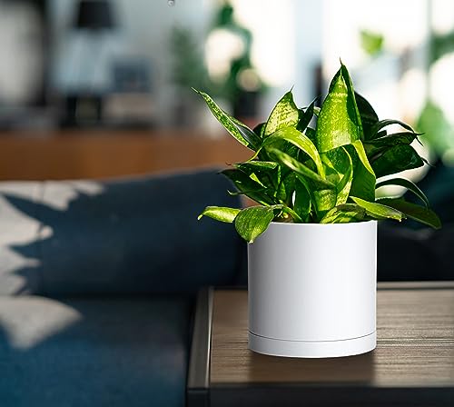 4 Pack White Plastic Planters with Saucers (5.5")