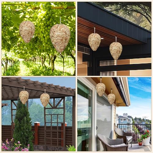 6 Pack Wasp Nest Decoy (6 Count)