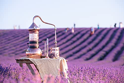 Lavender Tea 1LB (16 Ounce)