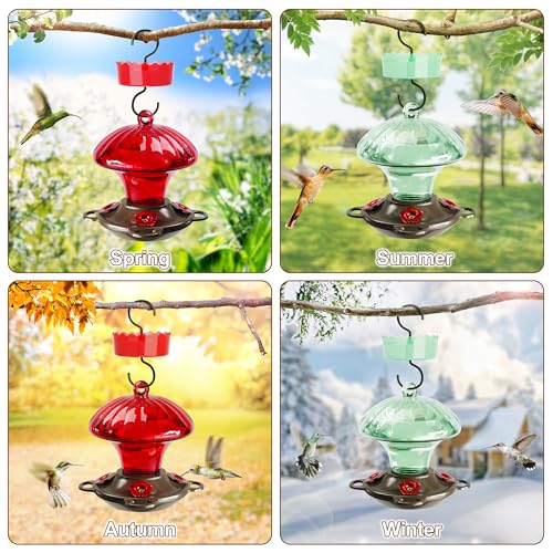 Glass Hummingbird Feeders for Outdoors Hanging