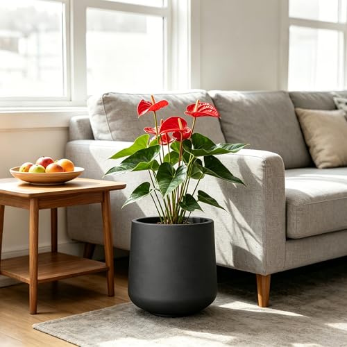 Accent Round Curved Black Concrete Planter 13" Dia