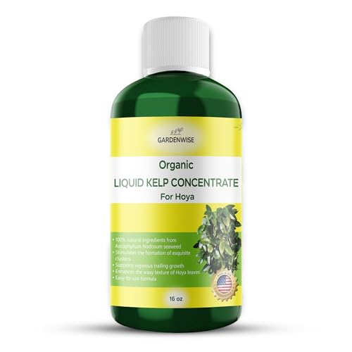 Organic Premium Kelp Seaweed Fertilizer for Hoya (16 Fl Oz)
