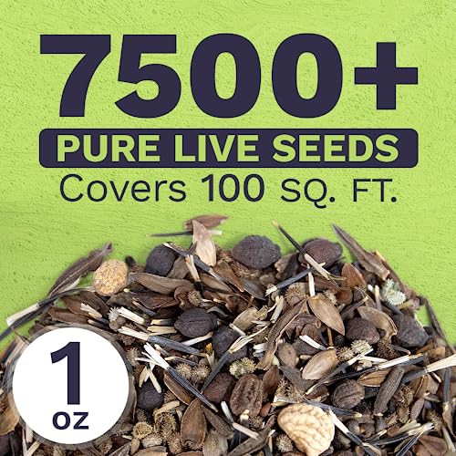 Wildflower Seeds Butterfly and Humming Bird Mix