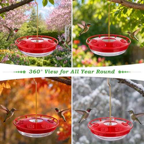 Saucer Hummingbird Feeders for Outdoors Hanging