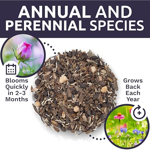 Bulk Wildflower Seeds Butterfly and Humming Bird Mix (80 Ounce)