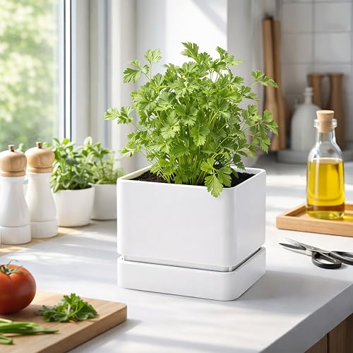 2 Pack Plastic Herb Planter Pots (2 Count)