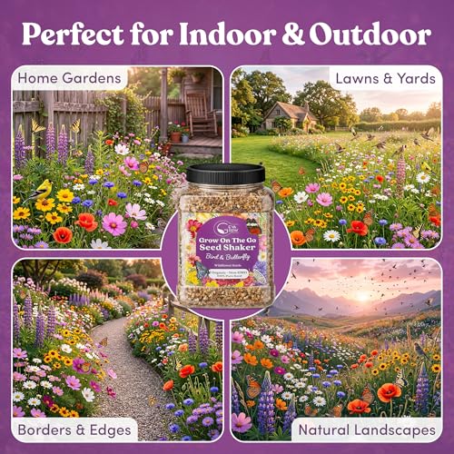 Bulk Wildflower Seed (16 Ounce)