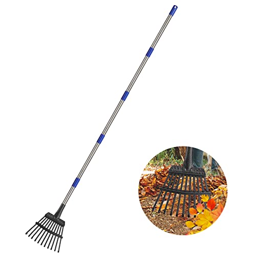Rake for Leaves