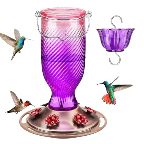 24 Oz Glass Hummingbird Feeder for Outdoors
