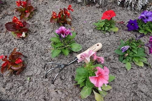 Cultivator Hand Tiller (3-Tine / Short Handle)