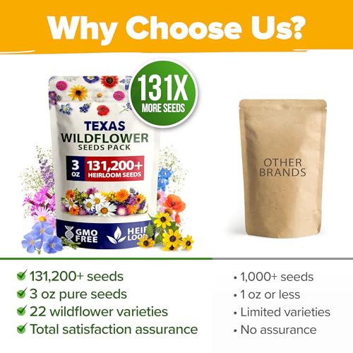 Texas Wildflower Seeds Bulk Mix