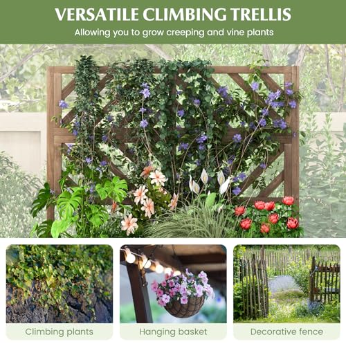 Raised Garden Bed with Trellis & 2 Planter Boxes