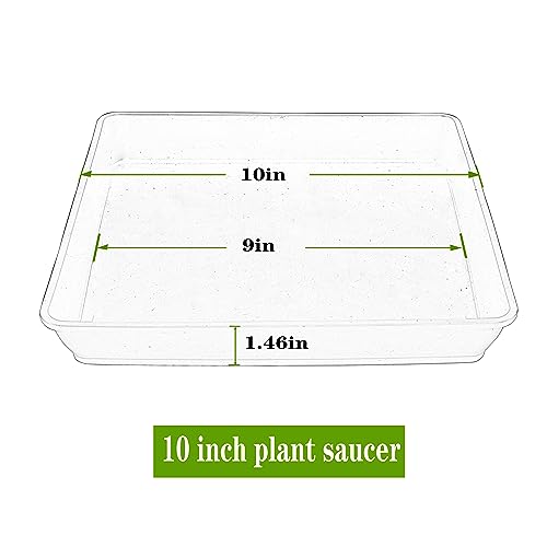 Square Plant Saucer 10 Inch 2 Pack (10"(2 pack) / Black)