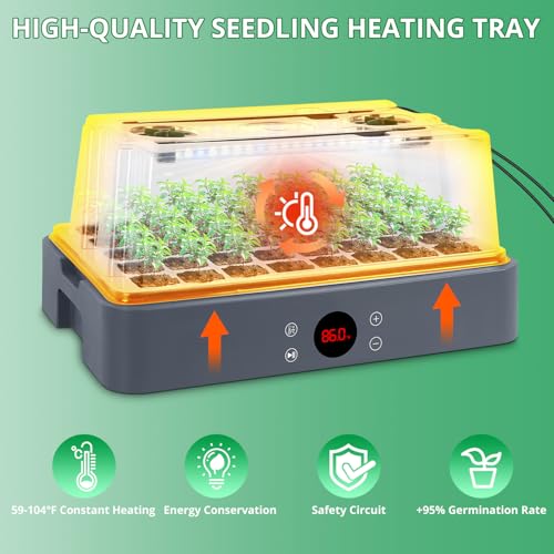 Seed Starter Tray with Grow Light