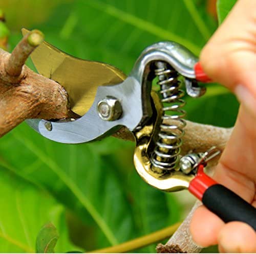 Garden Guru Indestructible Titanium Garden Clippers Professional Bypass Hand Pruner Pruning Shear with Comfort Grip Handles for Gardening Trimming and Yard Work Hardened Steel & Titanium Blade (4 Pack / Titanium Bypass)