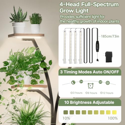 Plant Stand with Grow Light