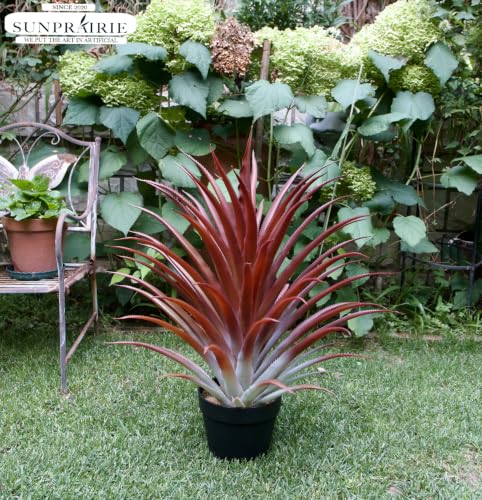 Hyper Realistic Big Red Artificial Aloe Vera Plant 26 Inches Tall. Large Faux Agave in Matte Black Pot