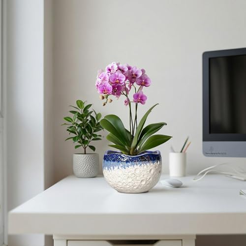 Ceramic Plant Pots (6.2 Inch / Beige-blue)
